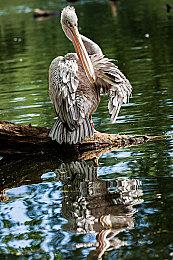 平台射击《闪回2》现已正式发售 NS版延期